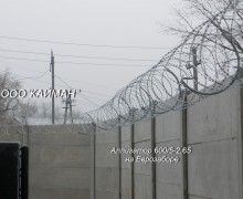 Колючая проволока СББ егоза 500